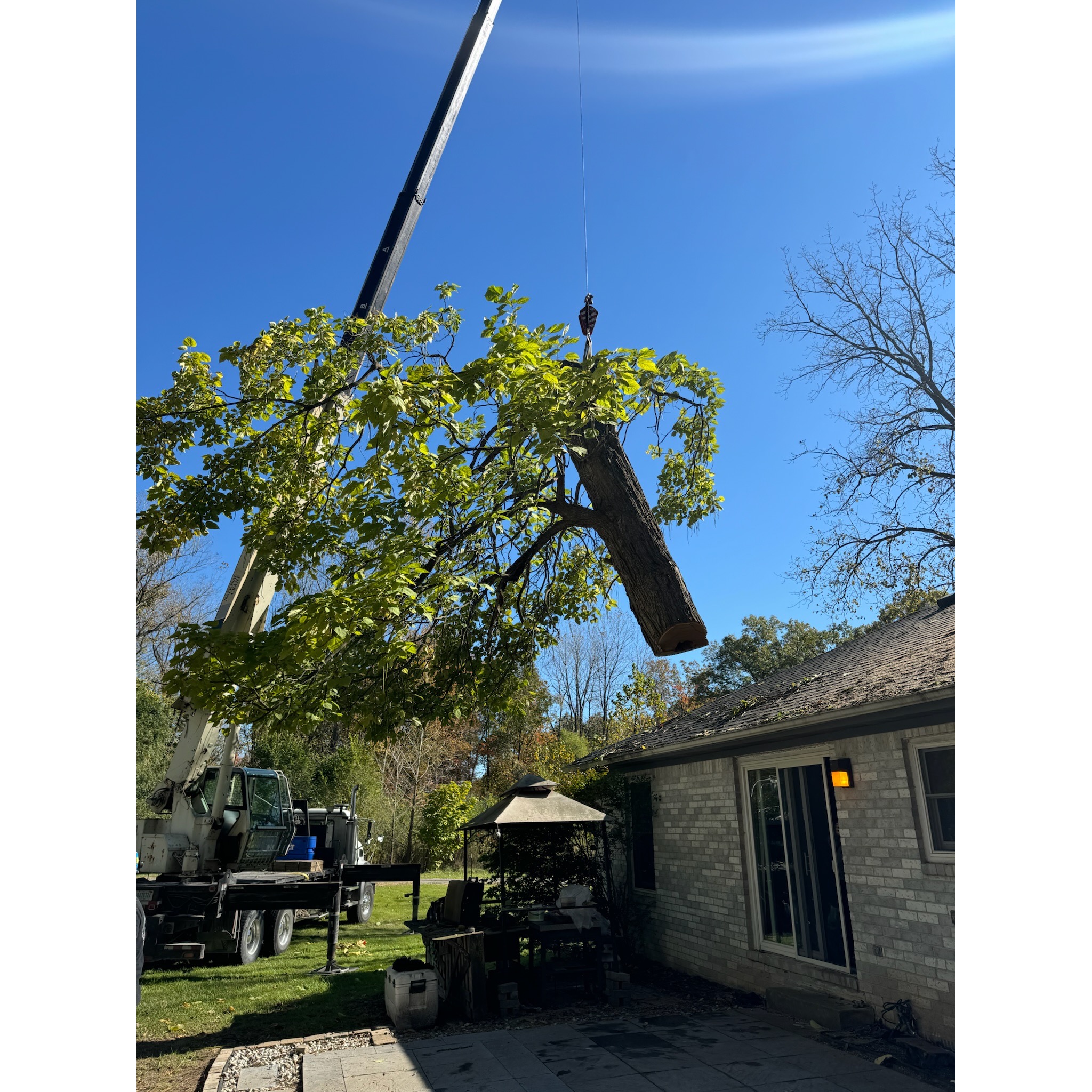 removing an unsafe tree