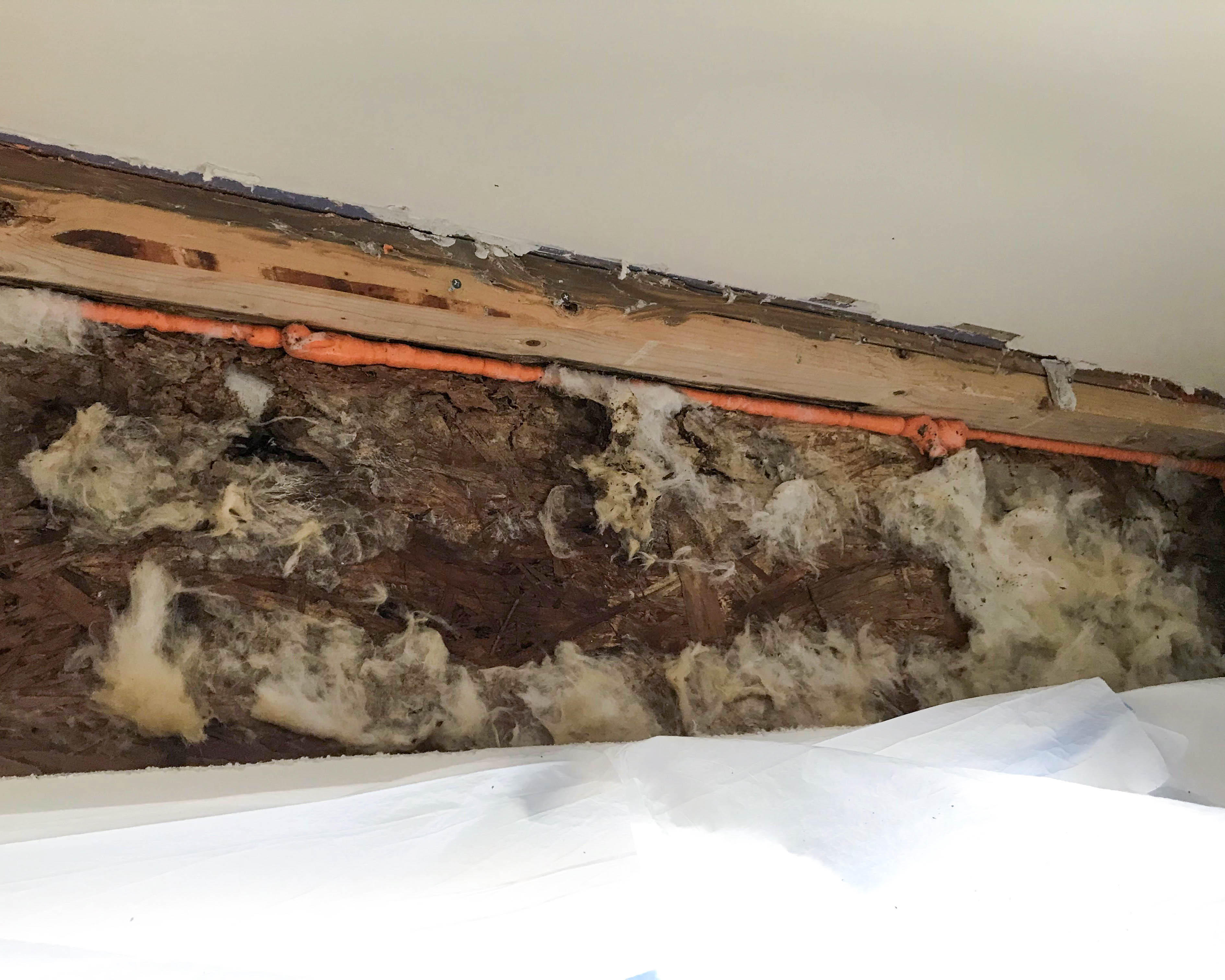 Black mold, white mold, fuzzy mold!! It all has to go, and that's why you need SERVPRO of North East Chester County to get the job done.