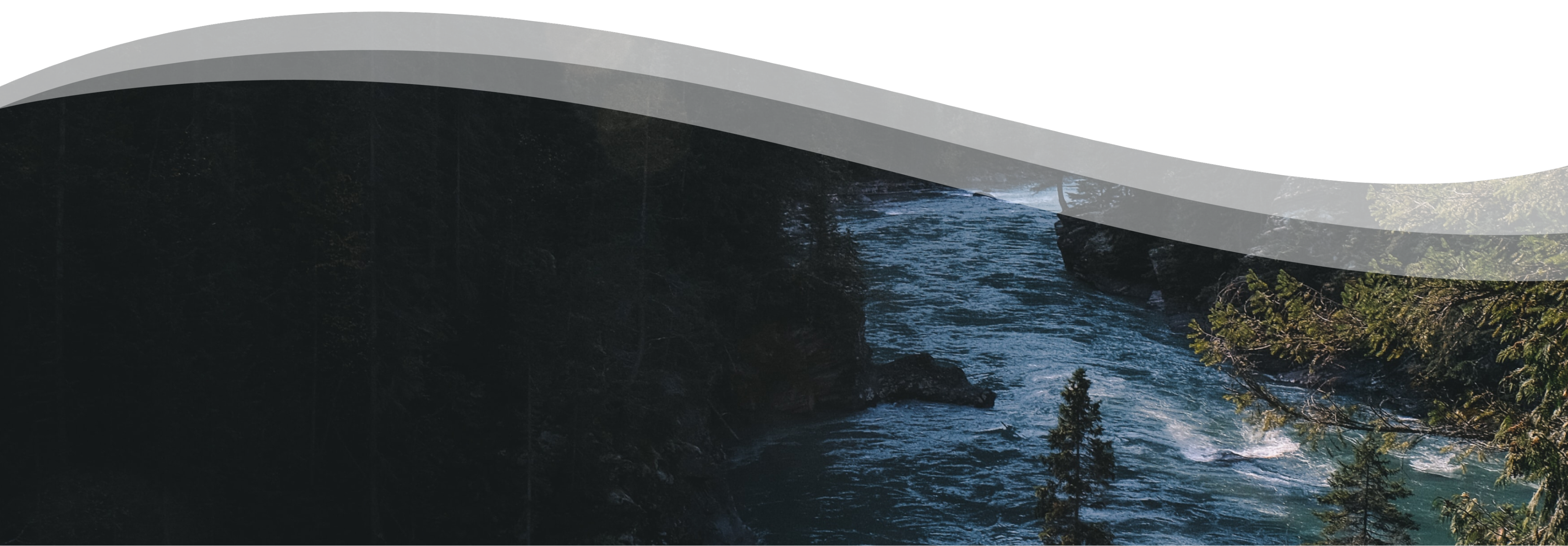 A rushing river in a forest.