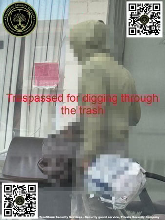 Images TreeStone Security Services