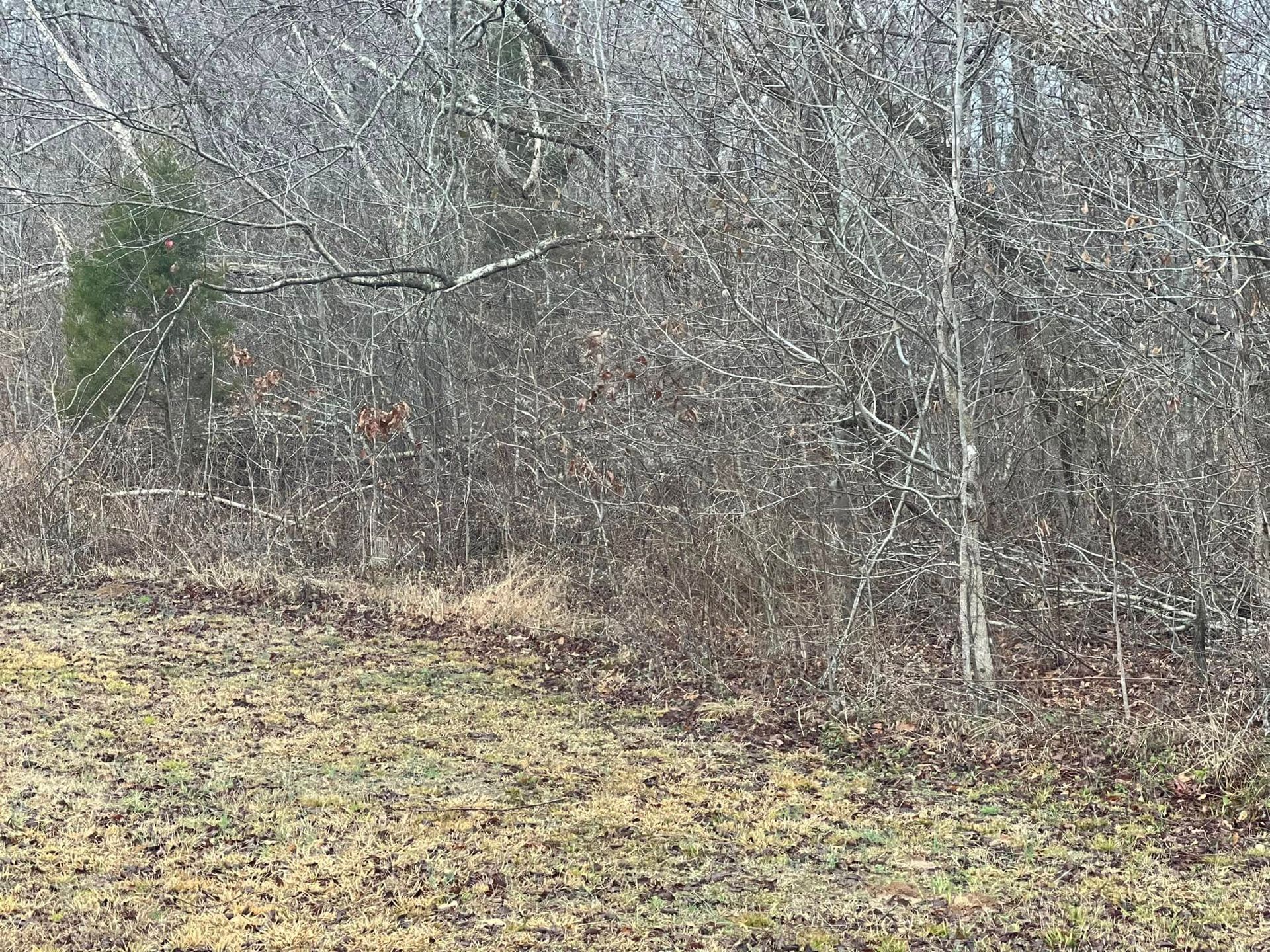 Tucker's Land Management Image