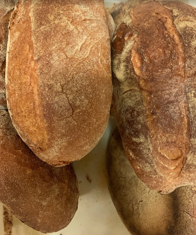 Images Panificio e Panetteria il Forno Bio di Giò