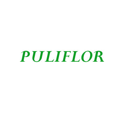Puliflor Logo