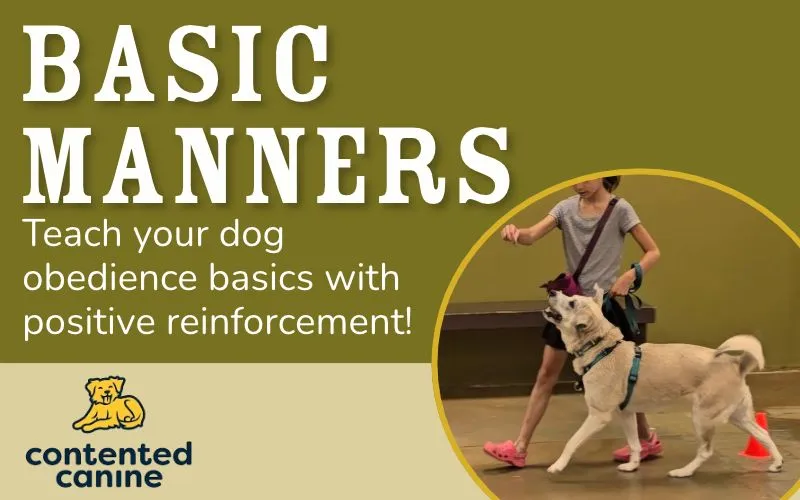 Image of Local Pet Event Basic Manners Training | Monroe WA Nearby