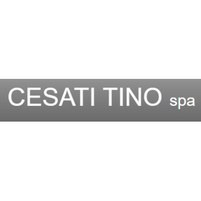 Cesati Tino - Concessionaria Logo