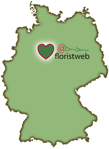 Bild 3 Floristweb in Kitzingen
