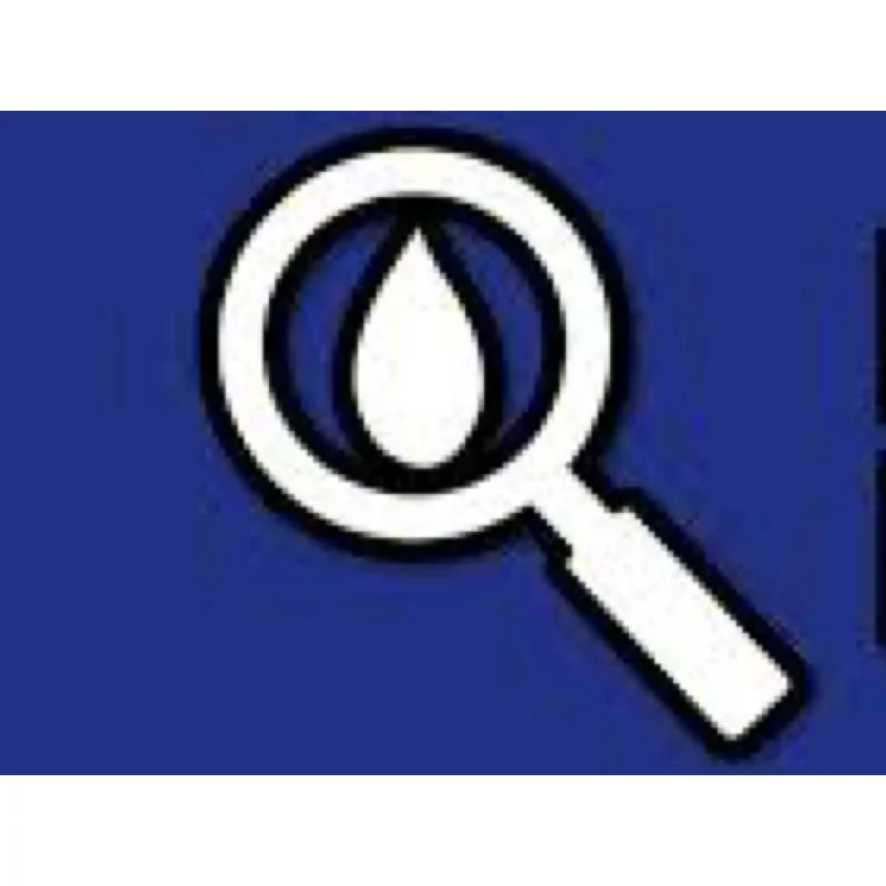 Damp Detectives Logo