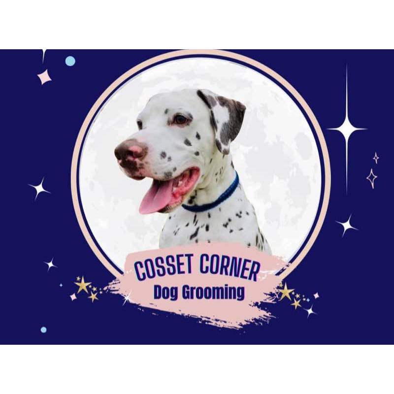 Cosset Corner Dog Grooming - Holmfirth, West Yorkshire HD9 5PB - 07713 963508 | ShowMeLocal.com