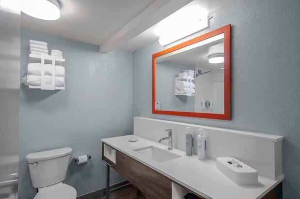 Images Hampton Inn Sarasota - I-75 Bee Ridge