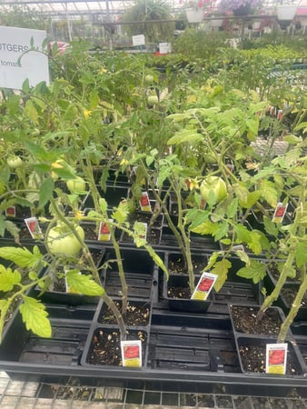 Images Puritas Nursery & Garden Center
