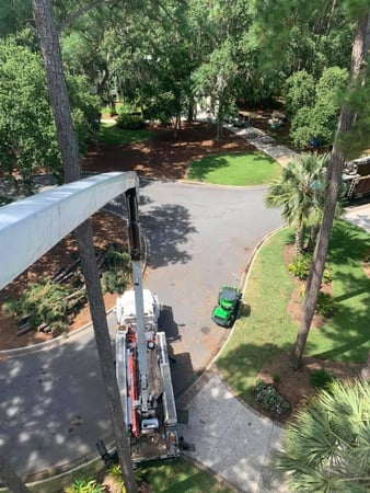 Images Magana Tree Service