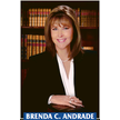 The Andrade Law Firm Logo