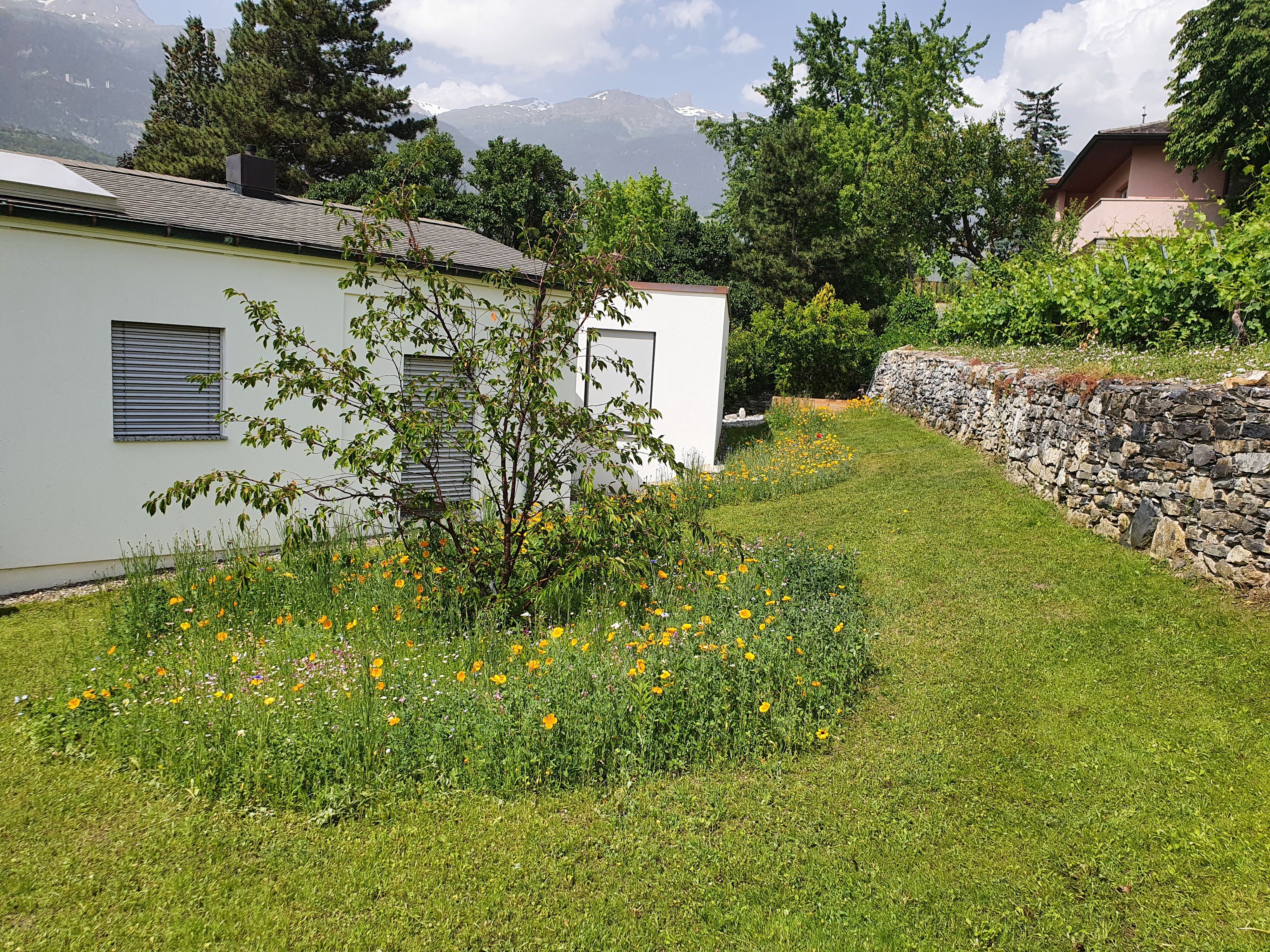 Bilder Jardin SA
