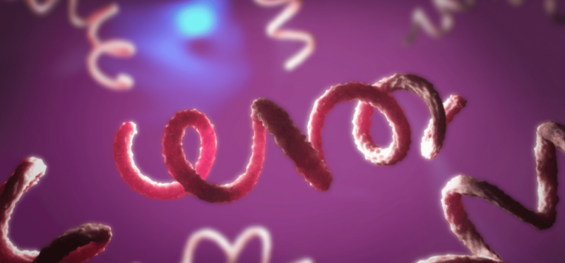 Verein zur Bekämpfung chronischer Infektionskrankheiten e.V., In der Holl 3 in Ebernhahn