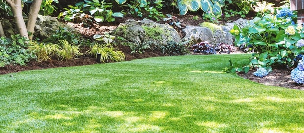 Images Las Vegas Artificial Grass