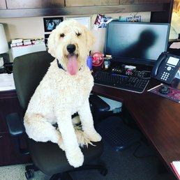 InsideOut Dog Training