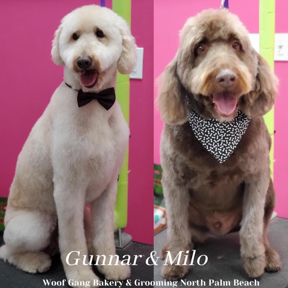 Woof Gang Bakery & Grooming North Palm Beach Photo