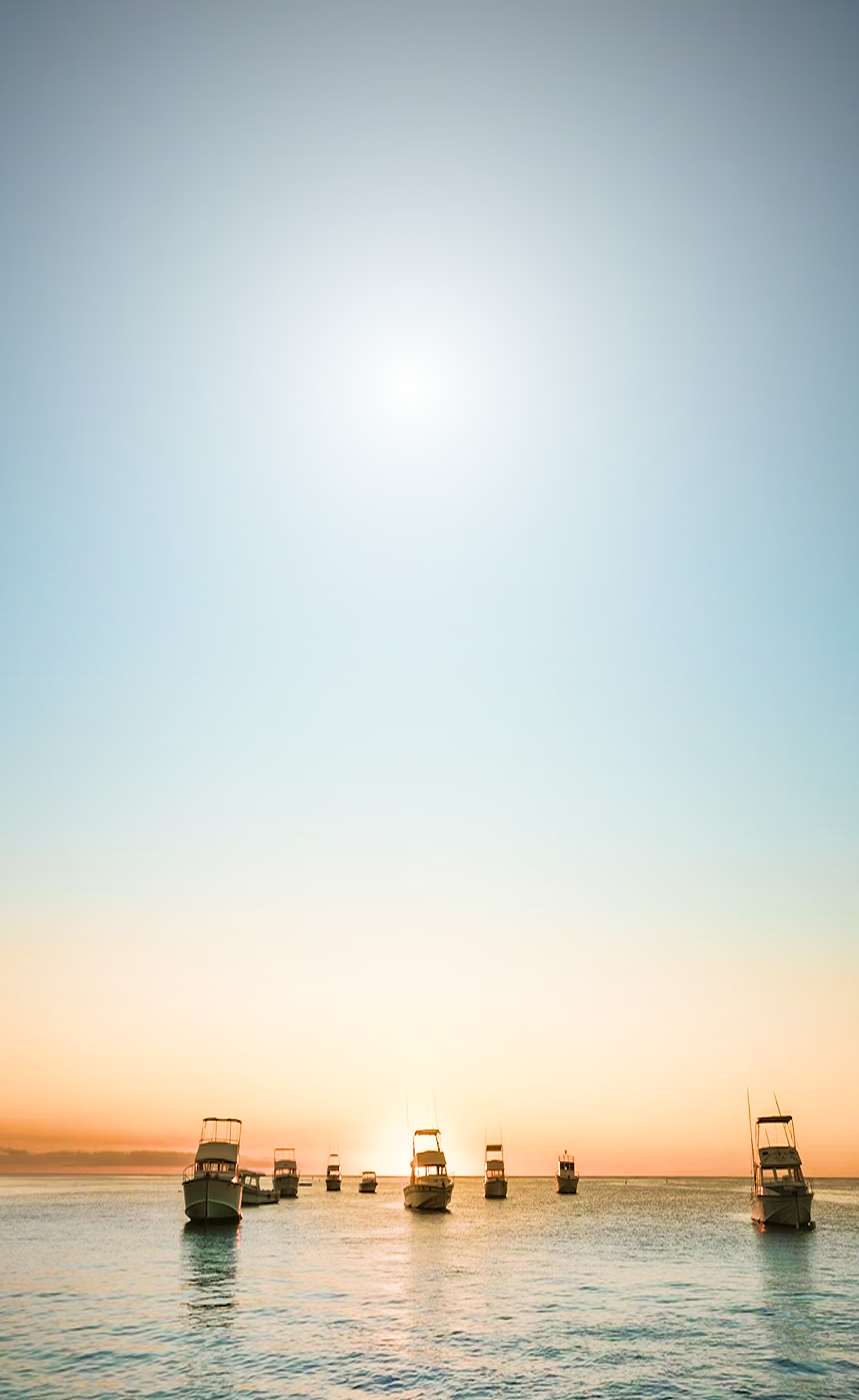 A group of boats anchored at sunset.
