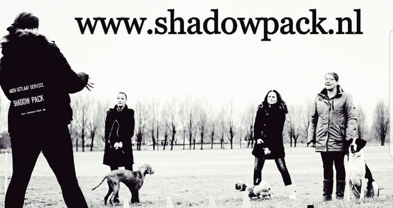 Foto's Hondenschool Shadow Pack