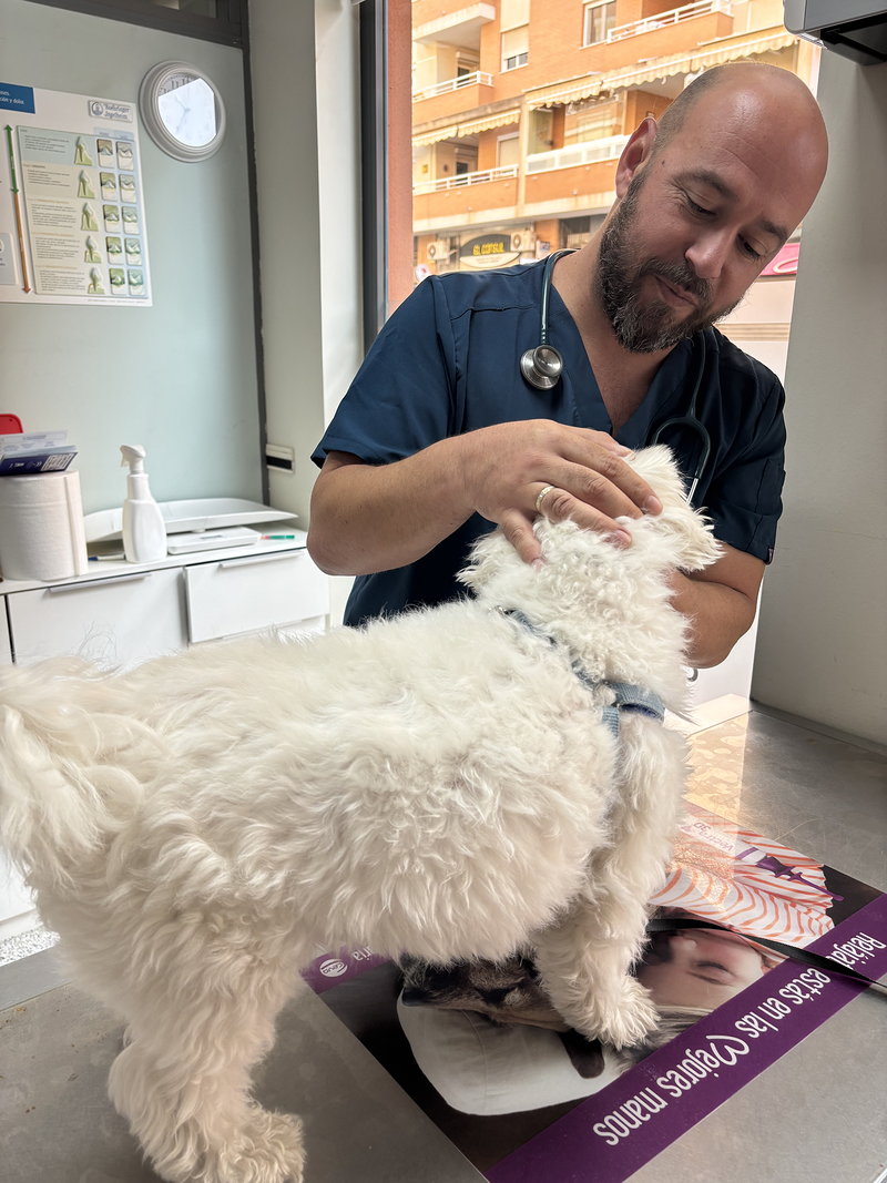 Images Clínica Veterinaria Lametones