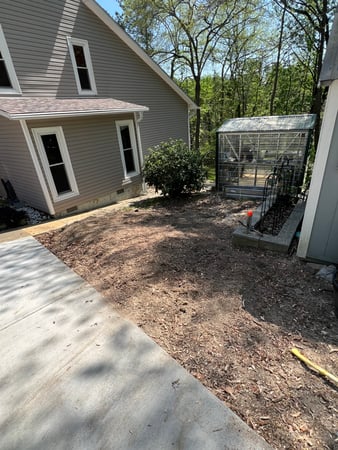 Images Carolina Tree Experts