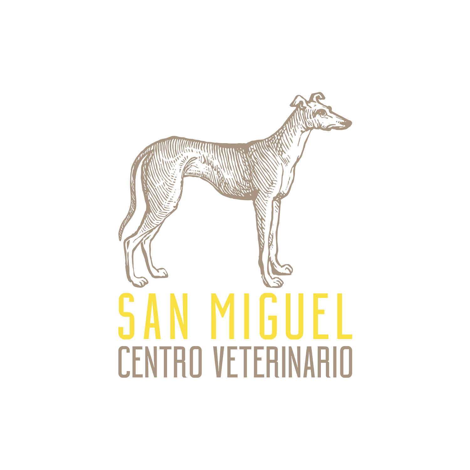 Centro Veterinario San Miguel Logo