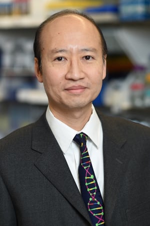Images Stephen H Tsang, MD, PhD