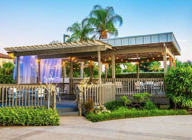 Images Hilton Tampa Airport Westshore