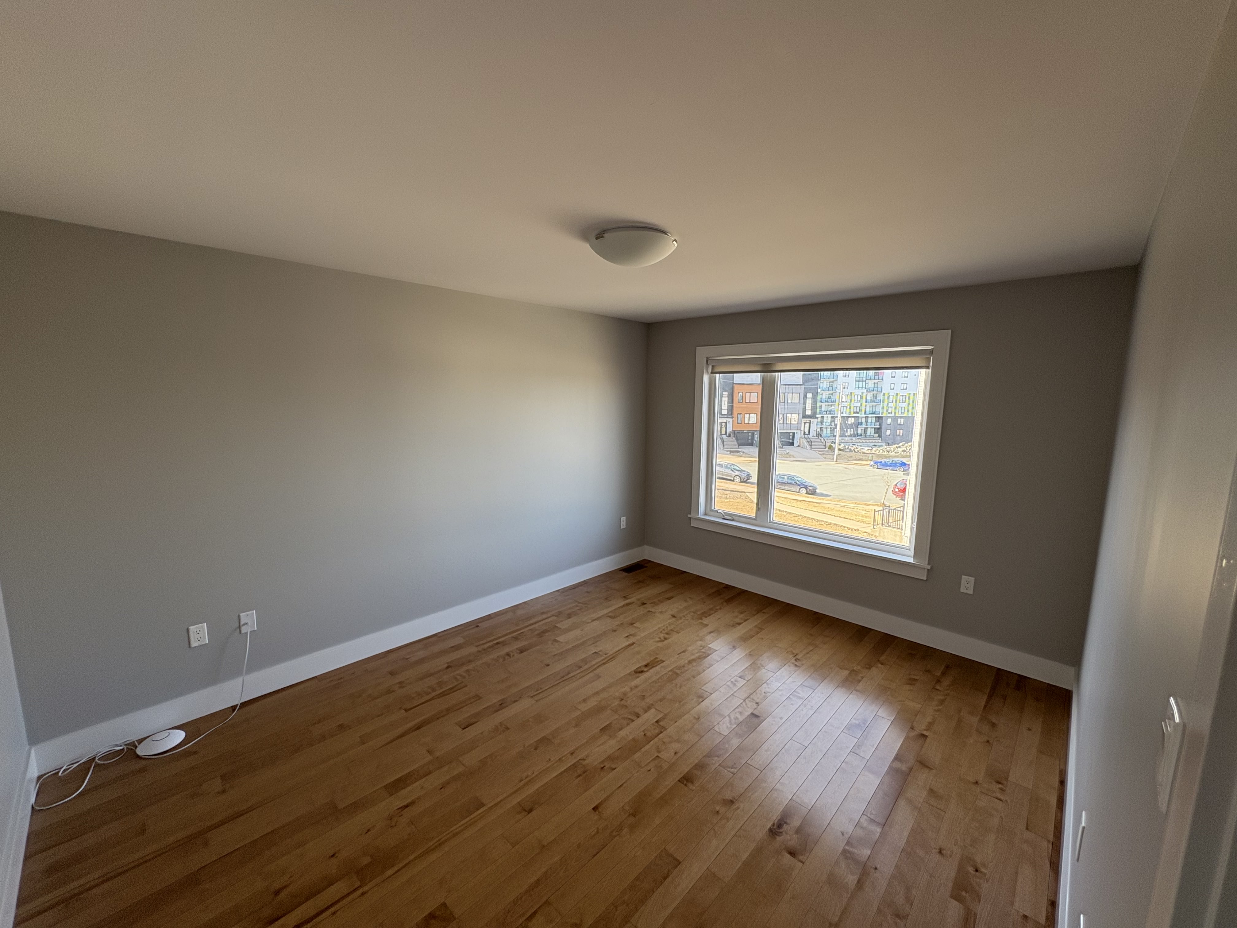 Images RenoNova Painting