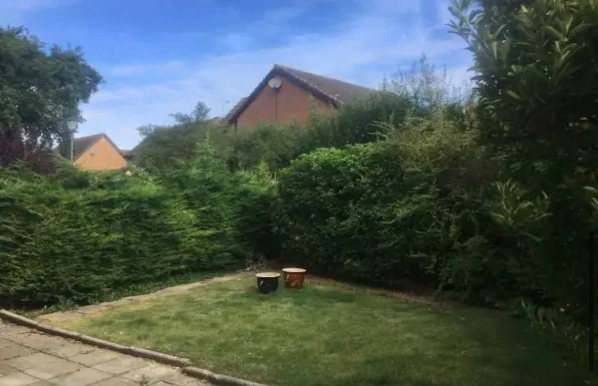 Images Tree Doctors & Landscaping