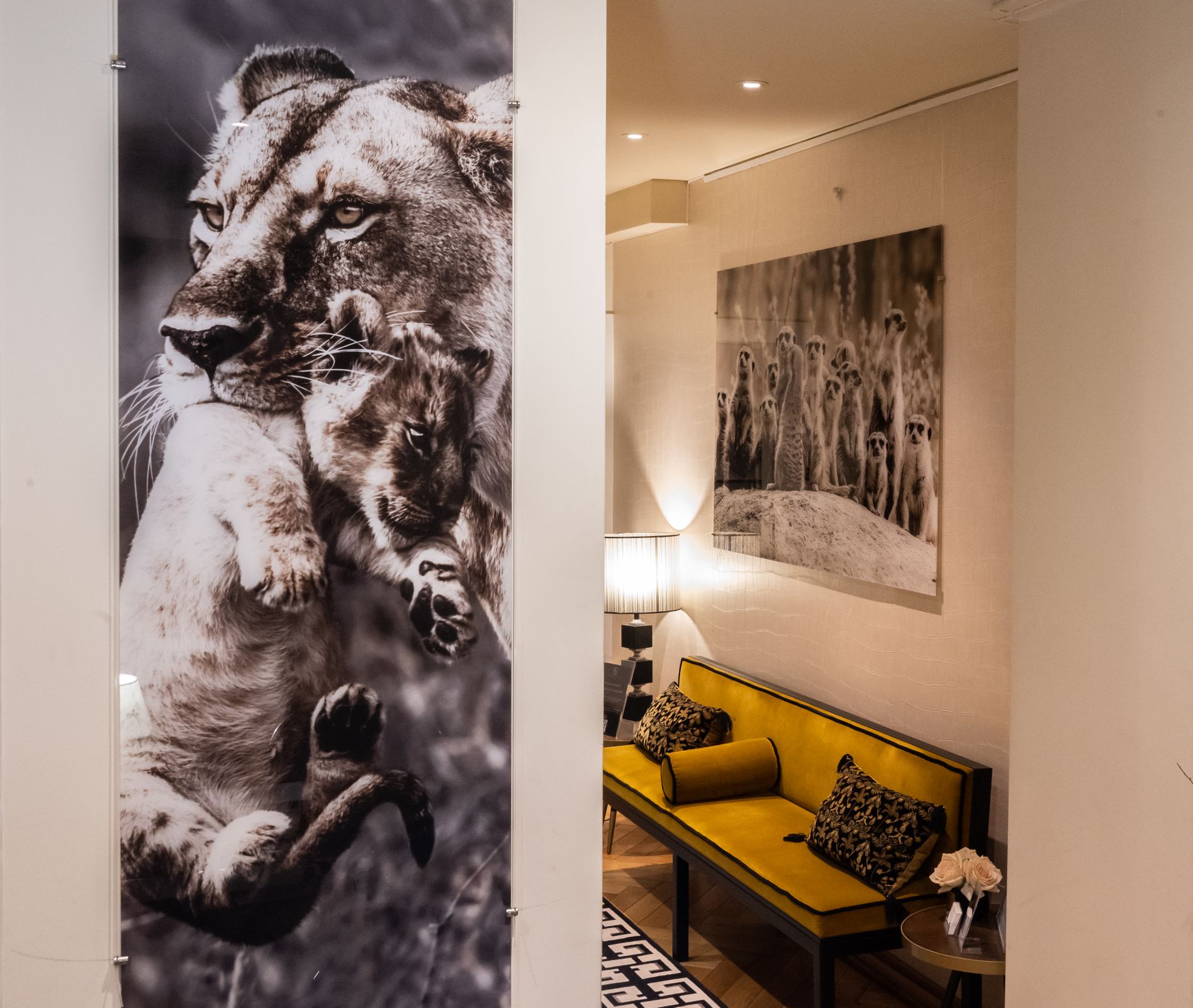 Bilder Rhône Dental Clinic