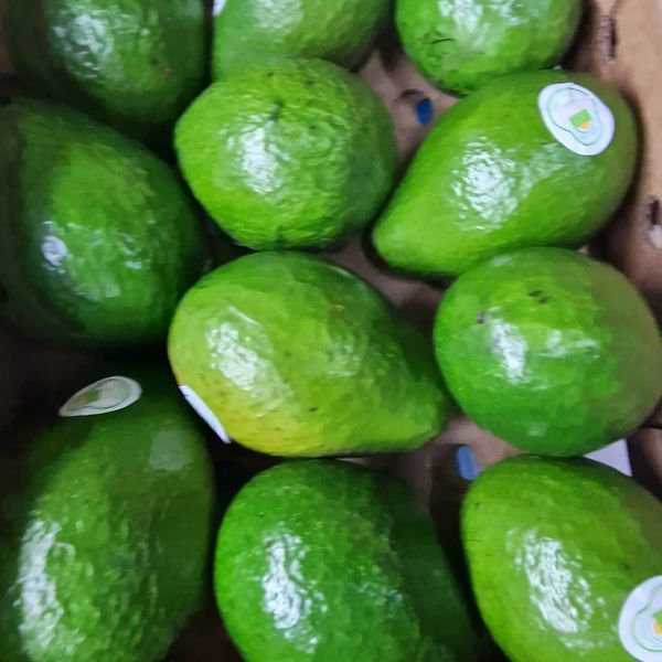 Images Rocoto Market