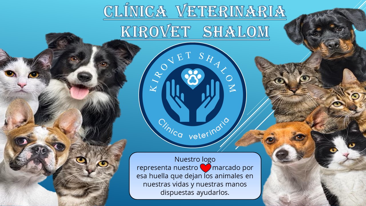 Images Clínica Veterinaria Kirovet Shalom S.L.