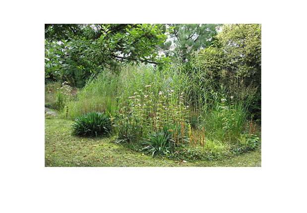 Kundenbild groß 6 Martin Gurr, Garten- und Landschaftsbau