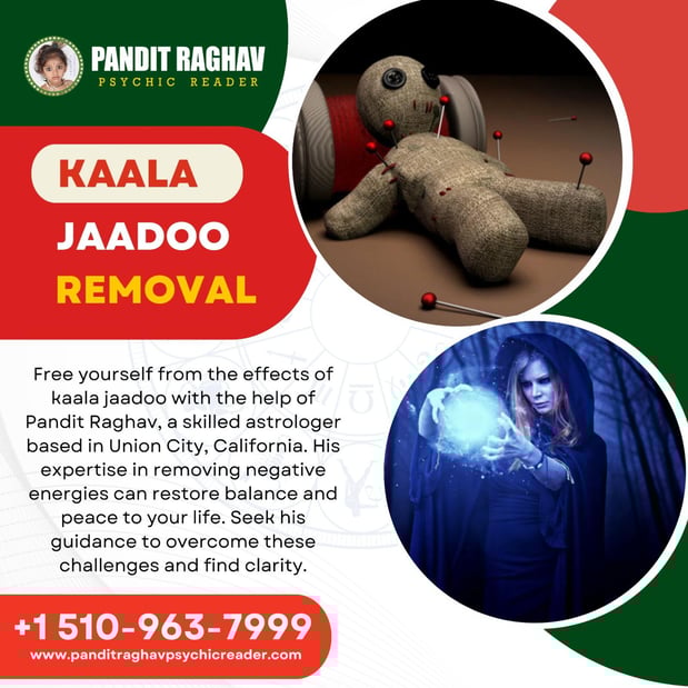 Images Pandit Raghav Psychic Reader Indian astrologer