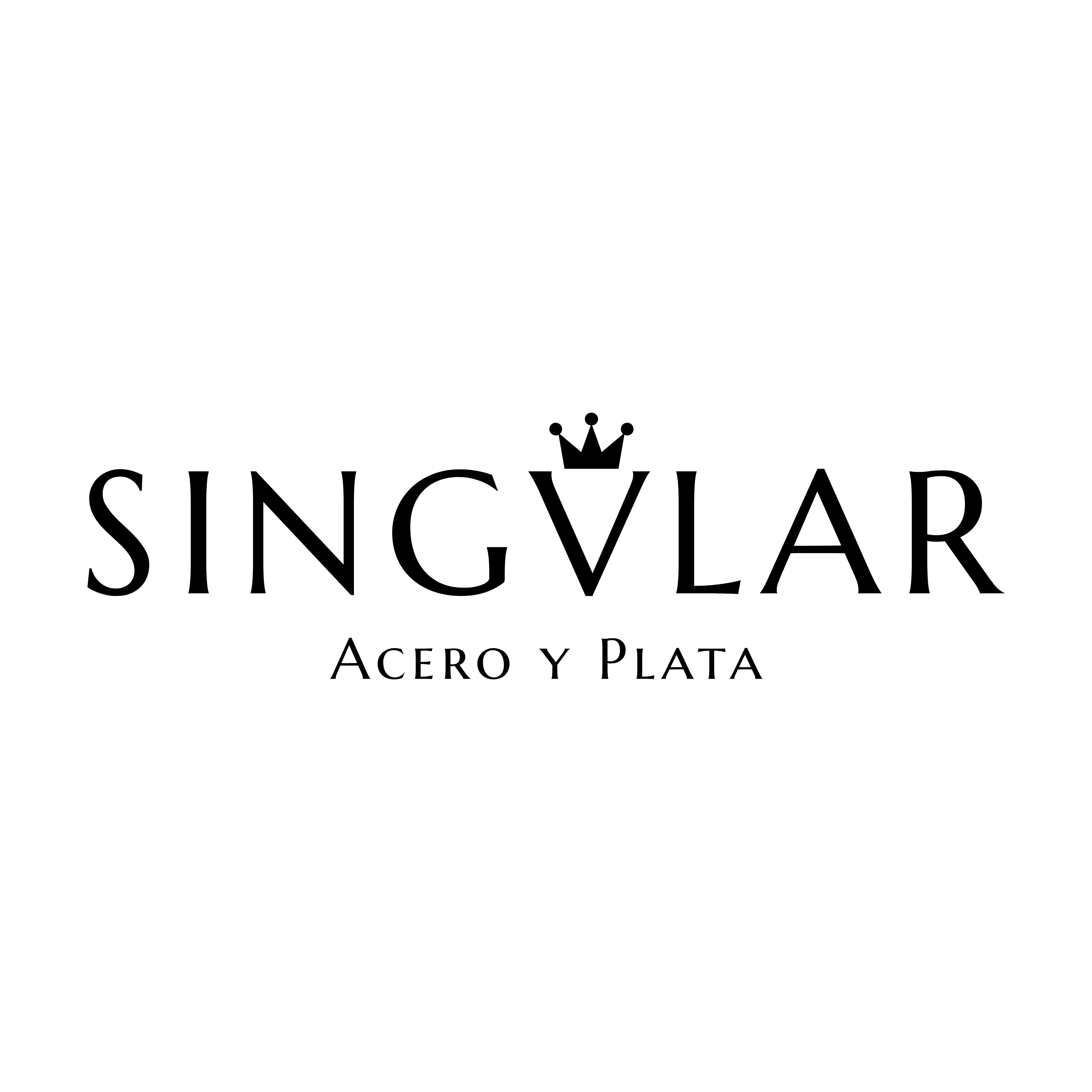 Singvlar  - Acero y Plata Logo