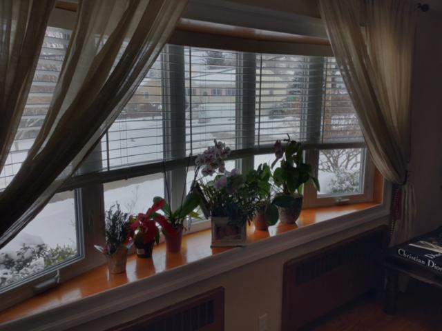 When you have windows like these bowed windows from Valhalla, you need a custom-tailored solution that fits perfectly! Our Wood Blinds give you a seamless look! #BudgetBlindsOssining #WoodBlinds #ValhallaNY #FreeConsultation #WindowWednesday