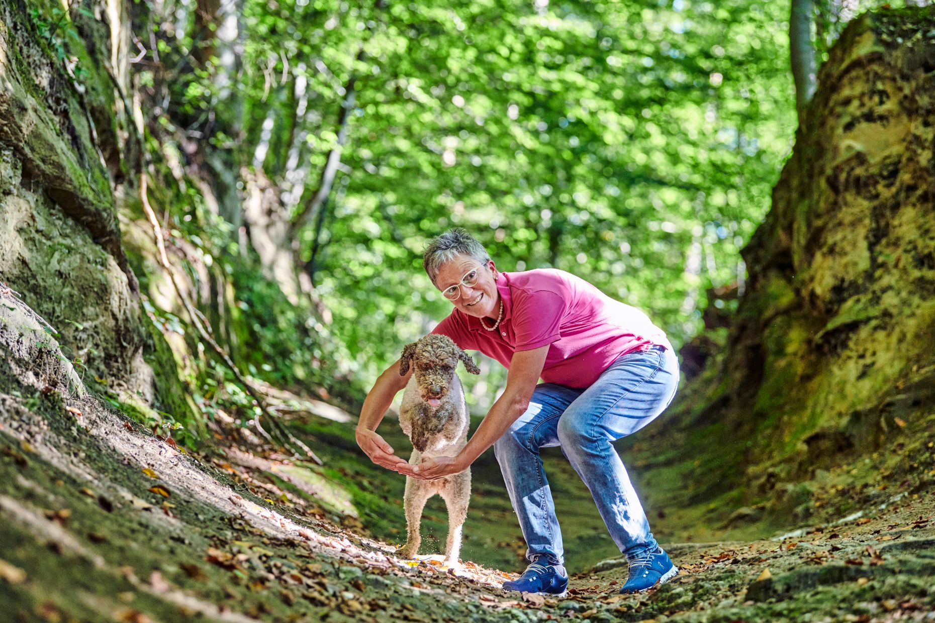 Bilder kompleTIER AG