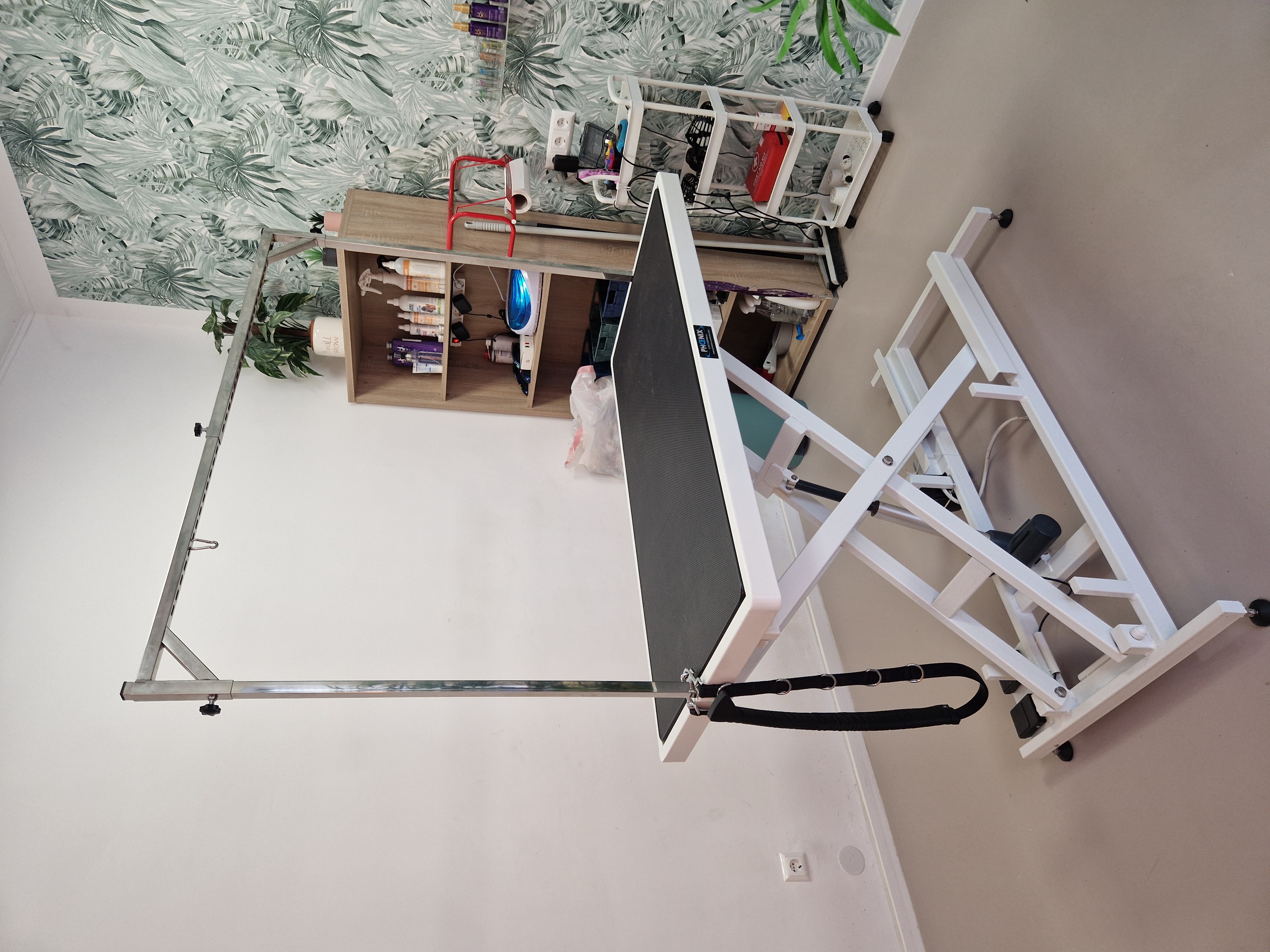 Bild 11 von Beauty-Dogs