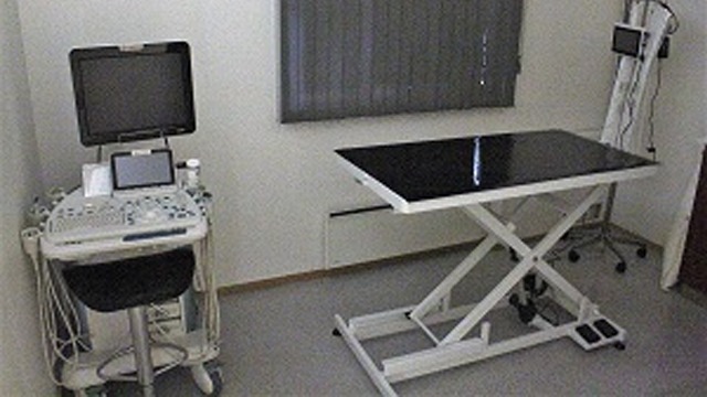 Images Stokke Dyreklinikk AS