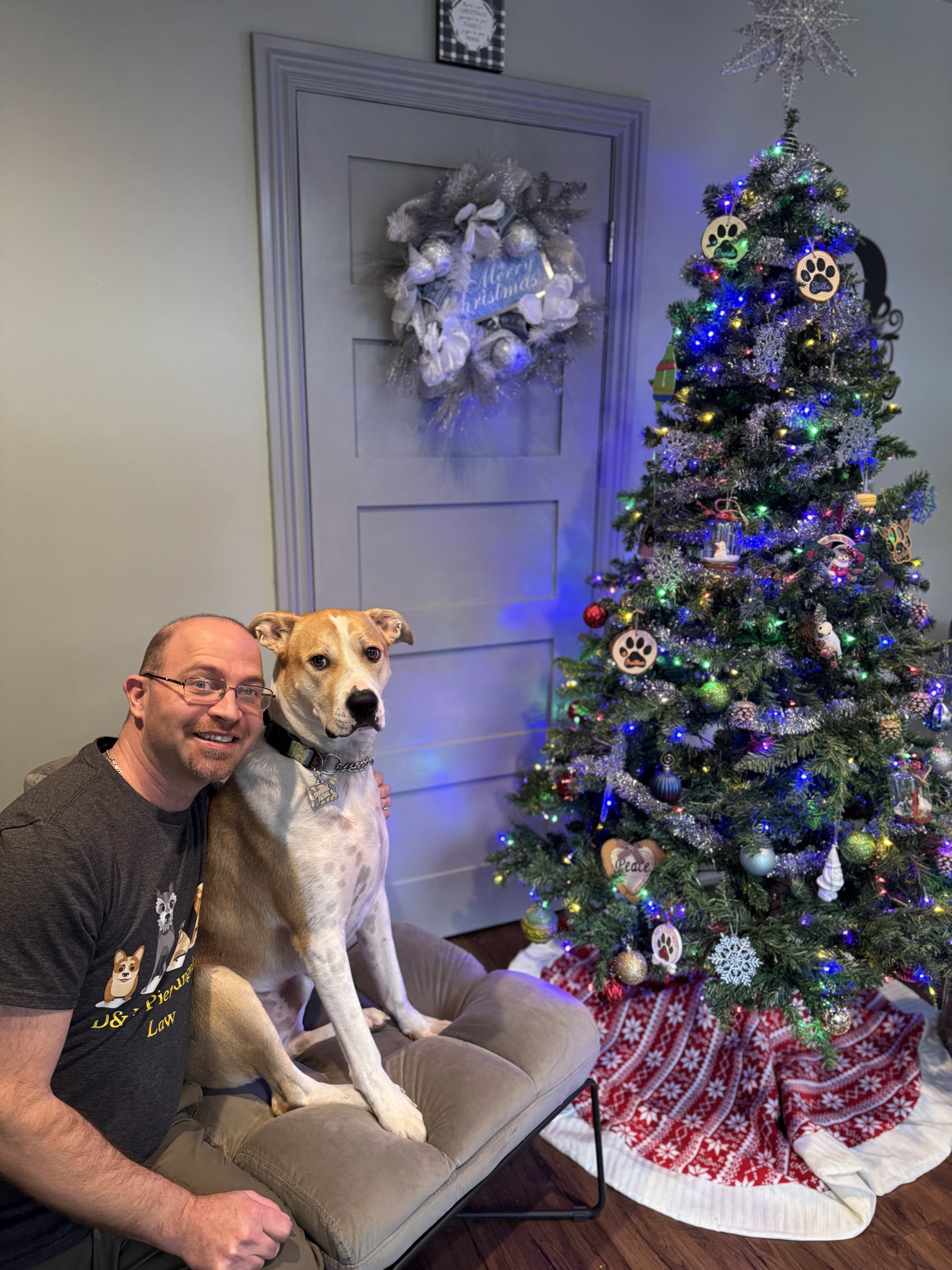 Images D&JP Pietrangelo Law