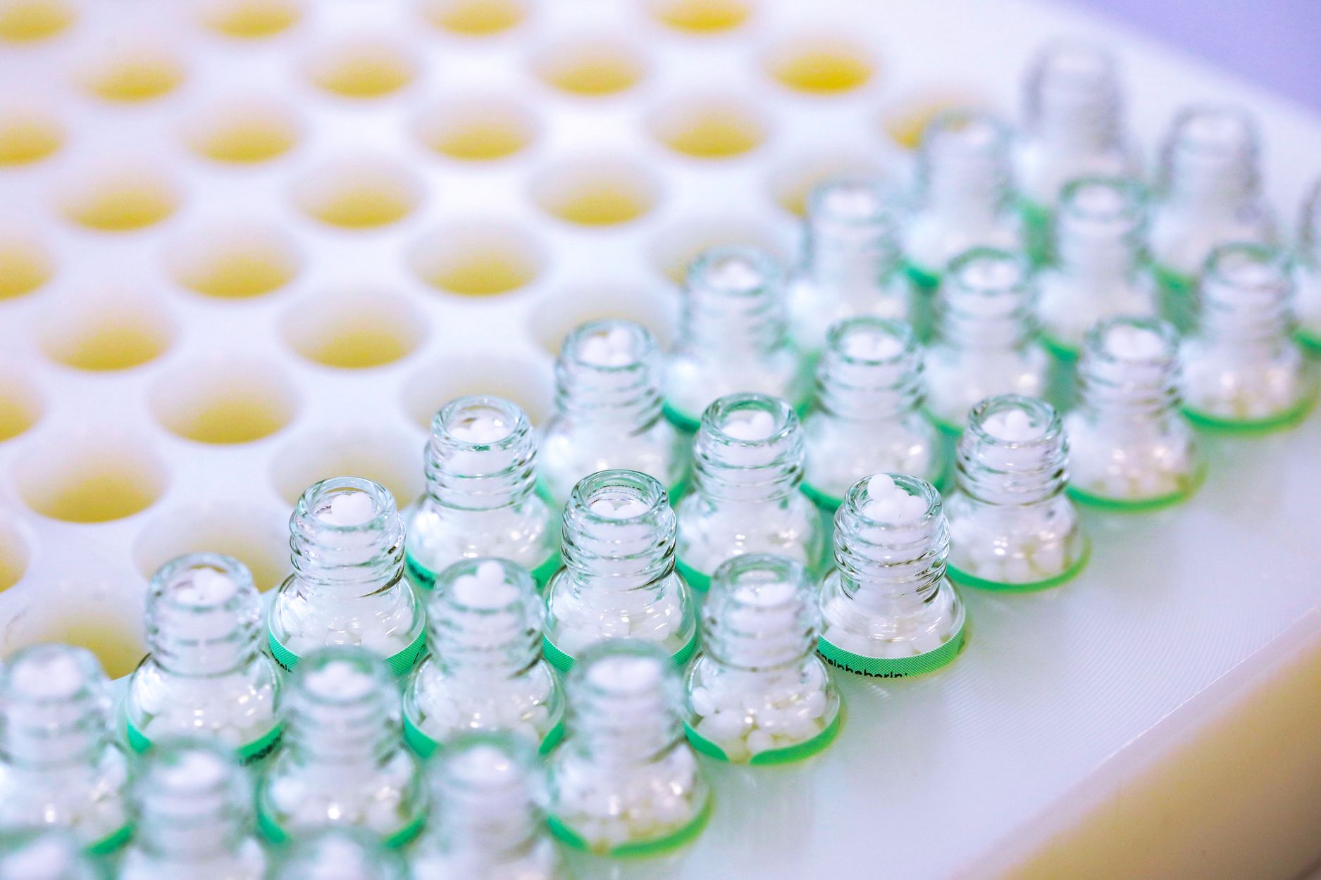 Bilder SHI Haus der Homöopathie