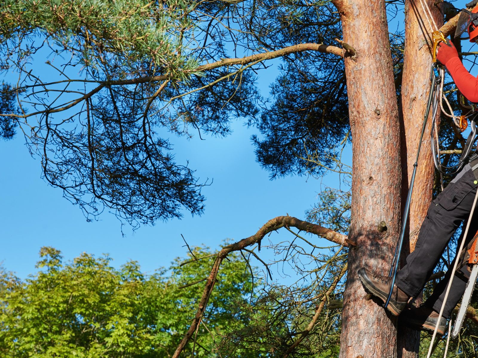 Rmm Tree Service Corp.