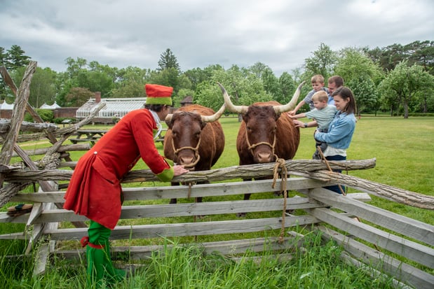 Images Fort Ticonderoga