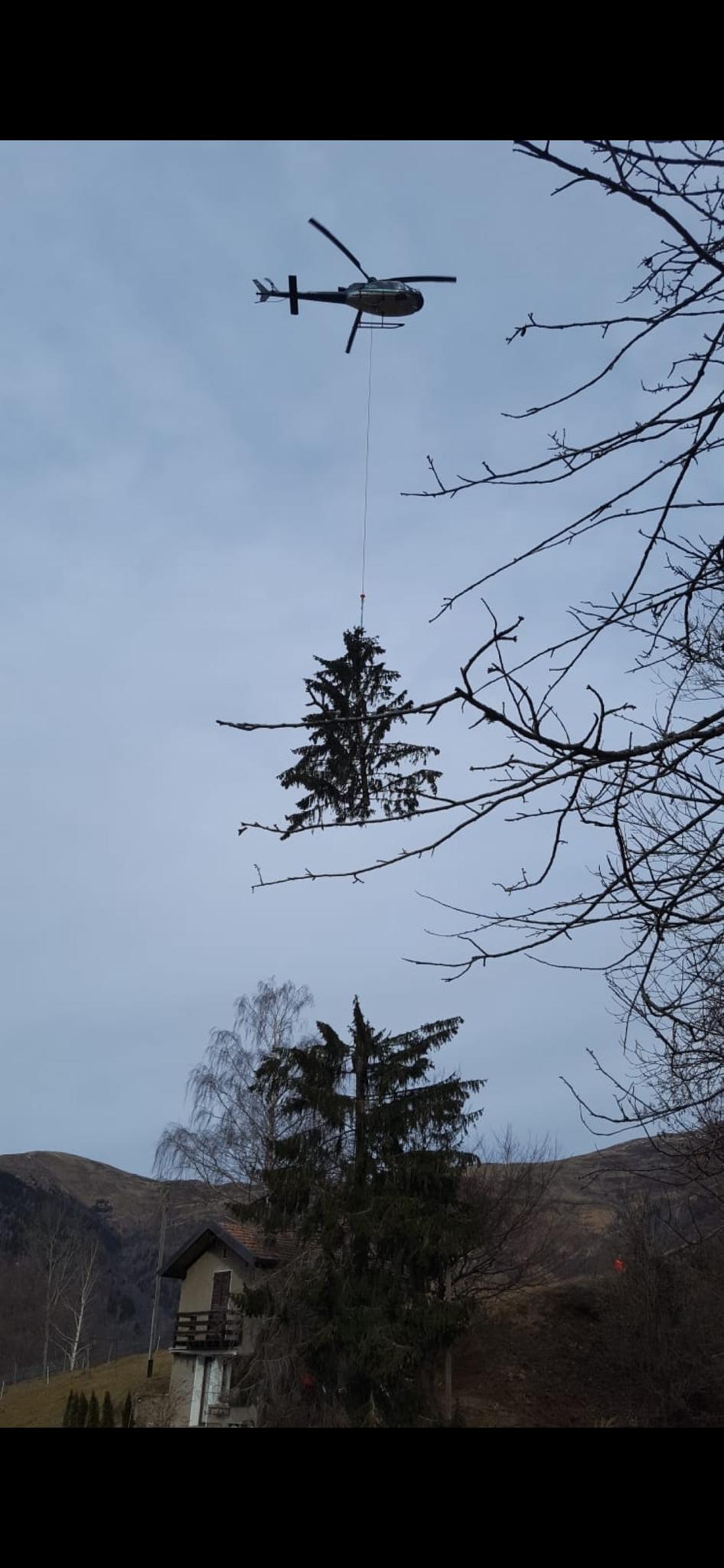Bilder Nesurini Daniele - Lavori Forestali e Segheria