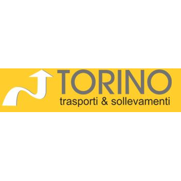 Torino Trasporti srl Logo