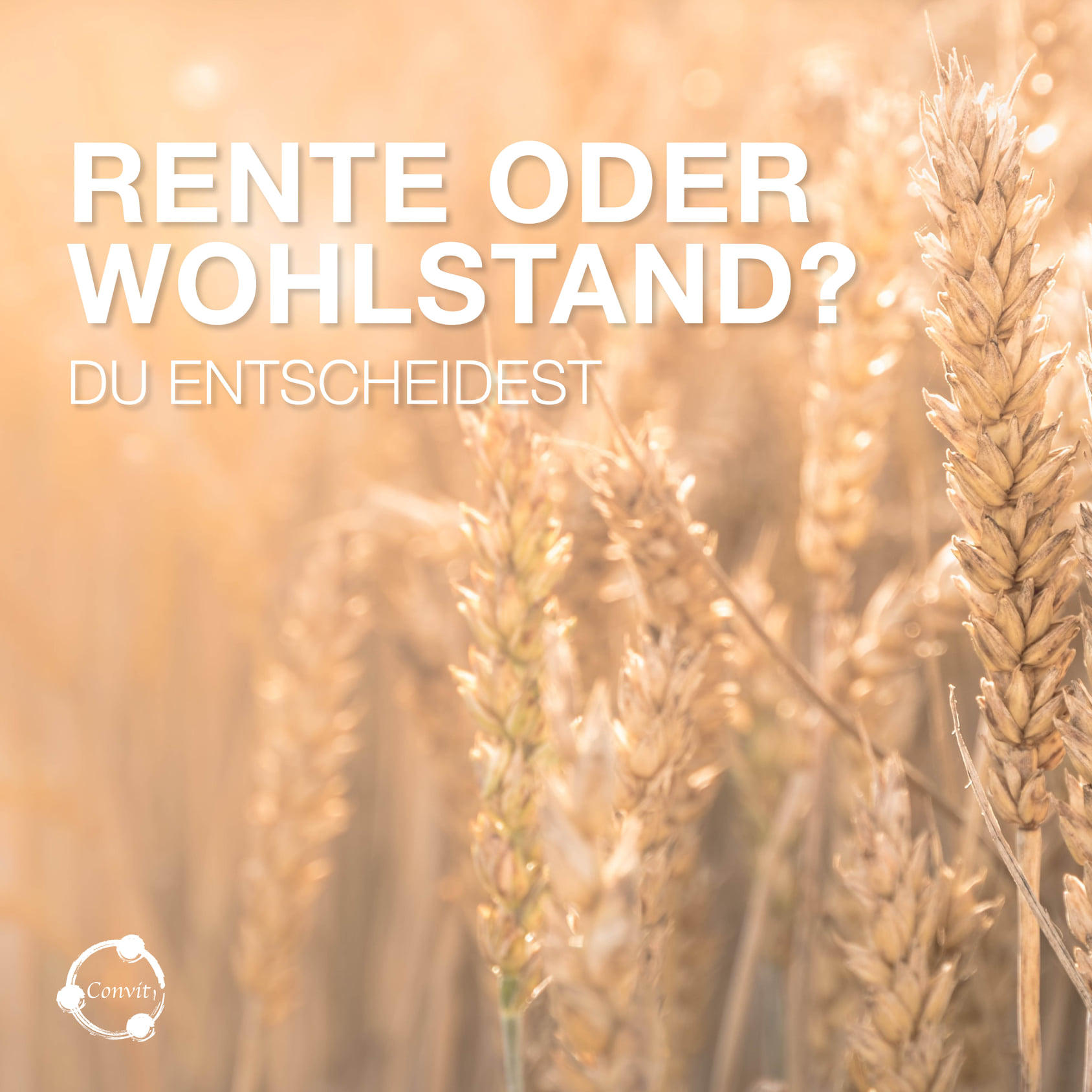 Convit Central GmbH, Bernstrasse 24 in Rothrist