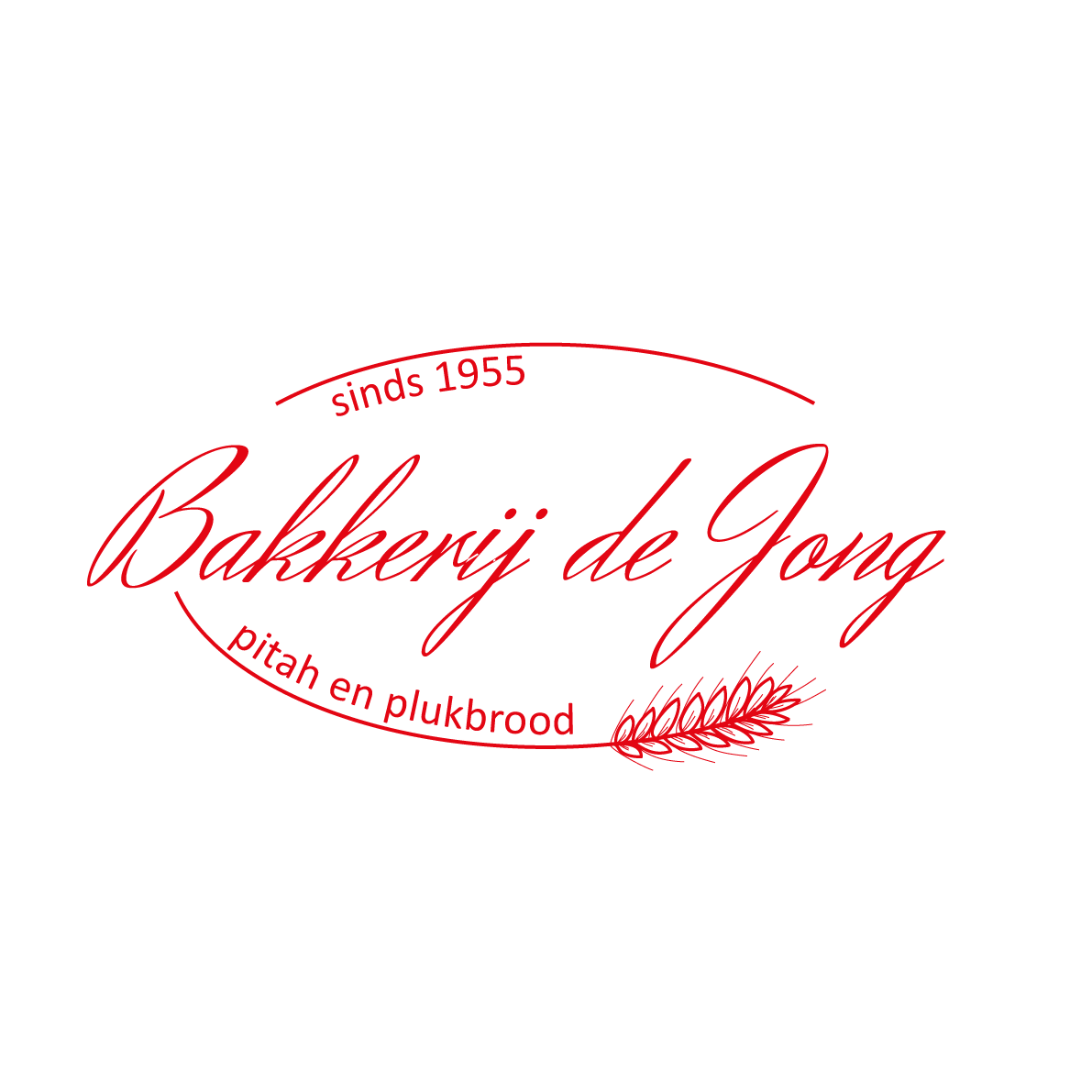 De Jong BV Logo