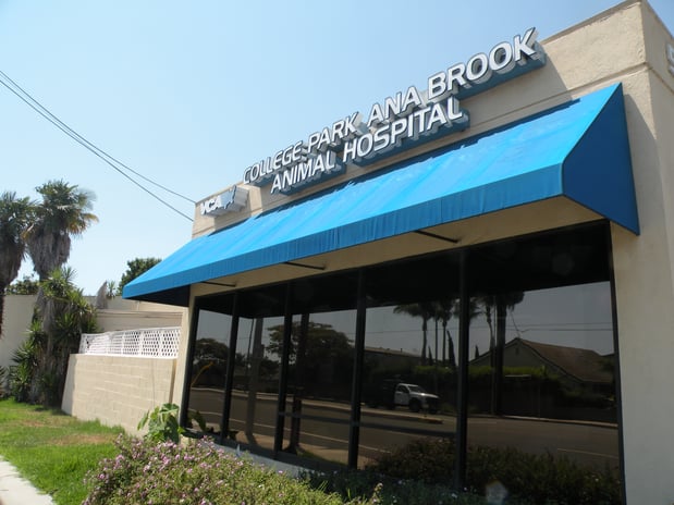 Images VCA College Park - Ana Brook Animal Hospital