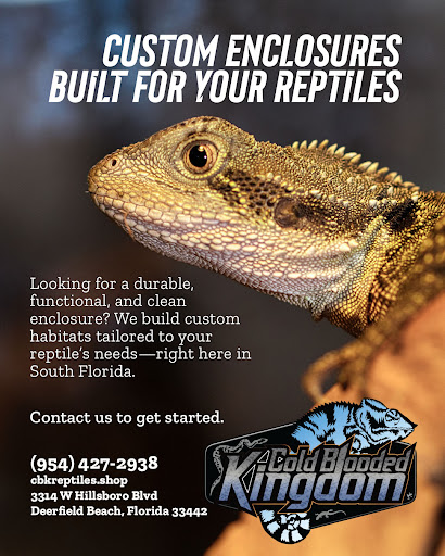 Images Cold Blooded Kingdom